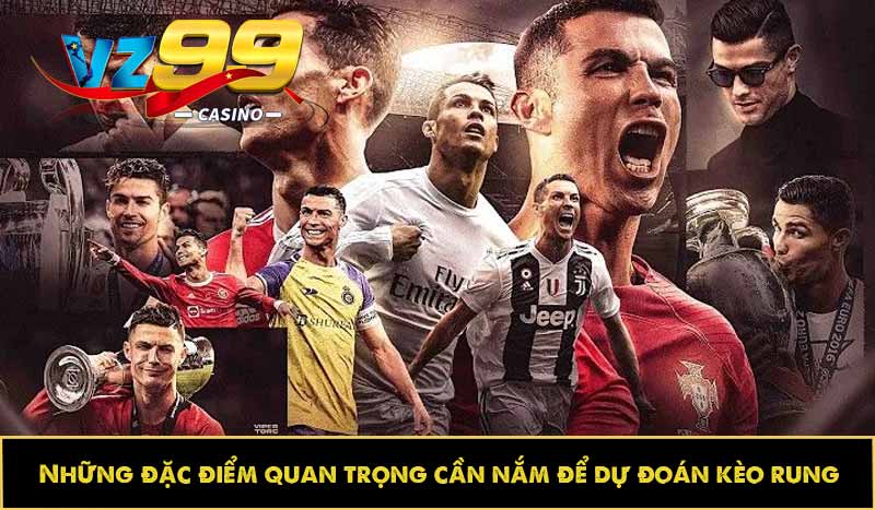 Những đặc điểm quan trọng cần nắm để dự đoán kèo rung